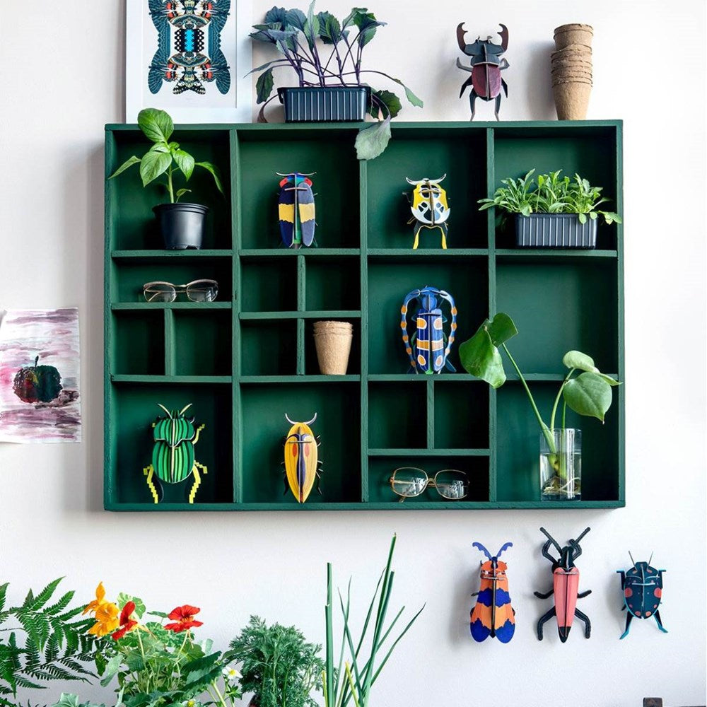 Wall Decoration | Small | Beetles
