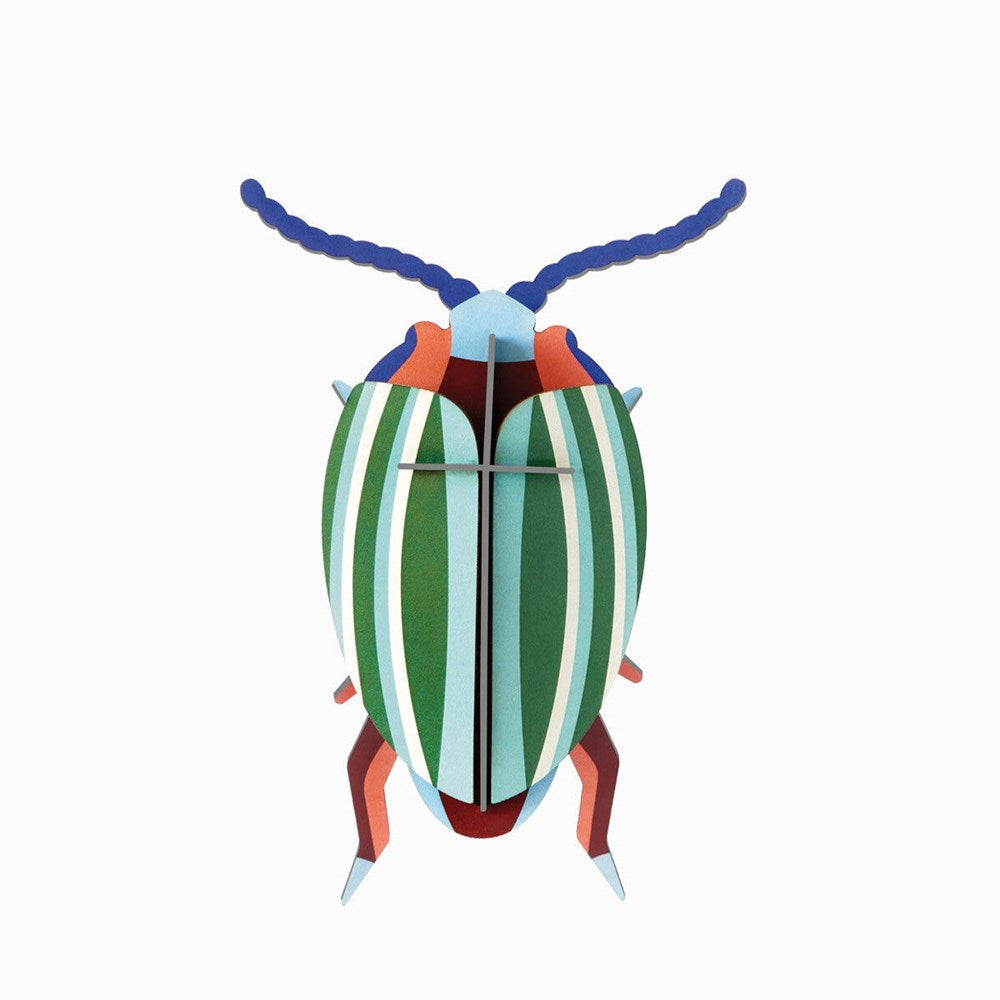 Wall Decoration | Small | Beetles