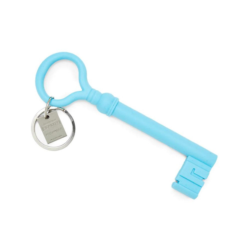 Keyring | key | assorted colours