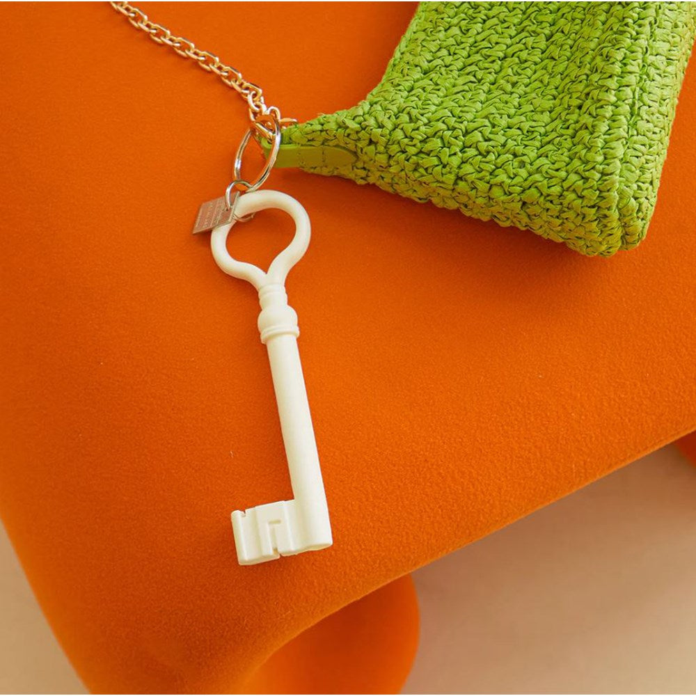Keyring | key | assorted colours