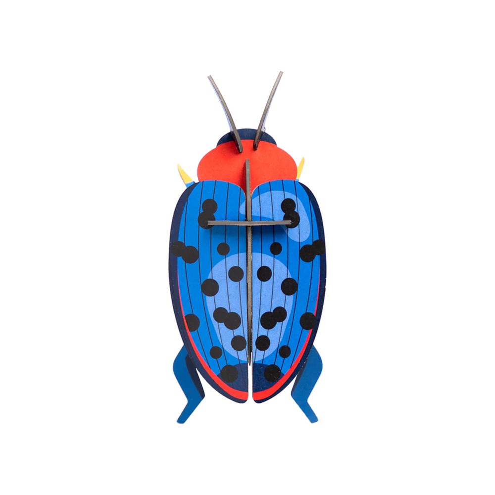 Wall Decoration | Small | Beetles