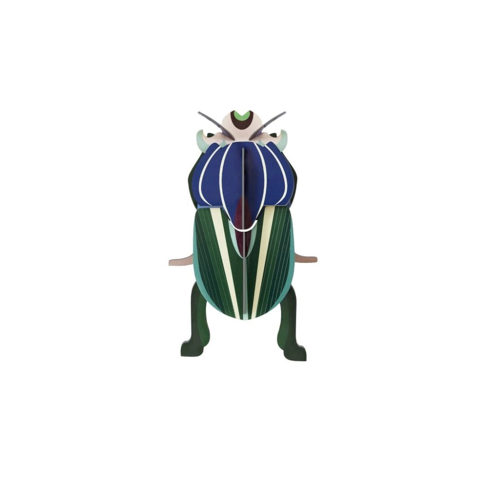 Wall Decoration | Small | Beetles