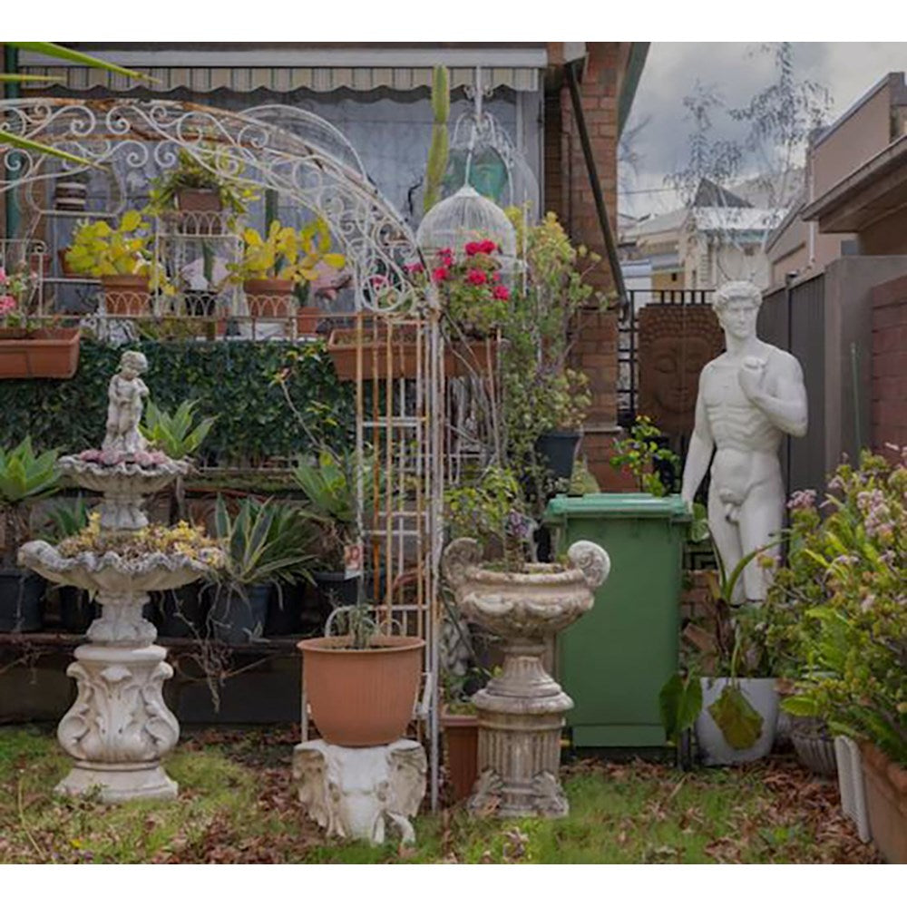 Front Yard | Author: David Wadelton