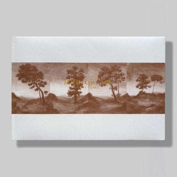 Tony Clark: Myriorama | Author: Murray White Room