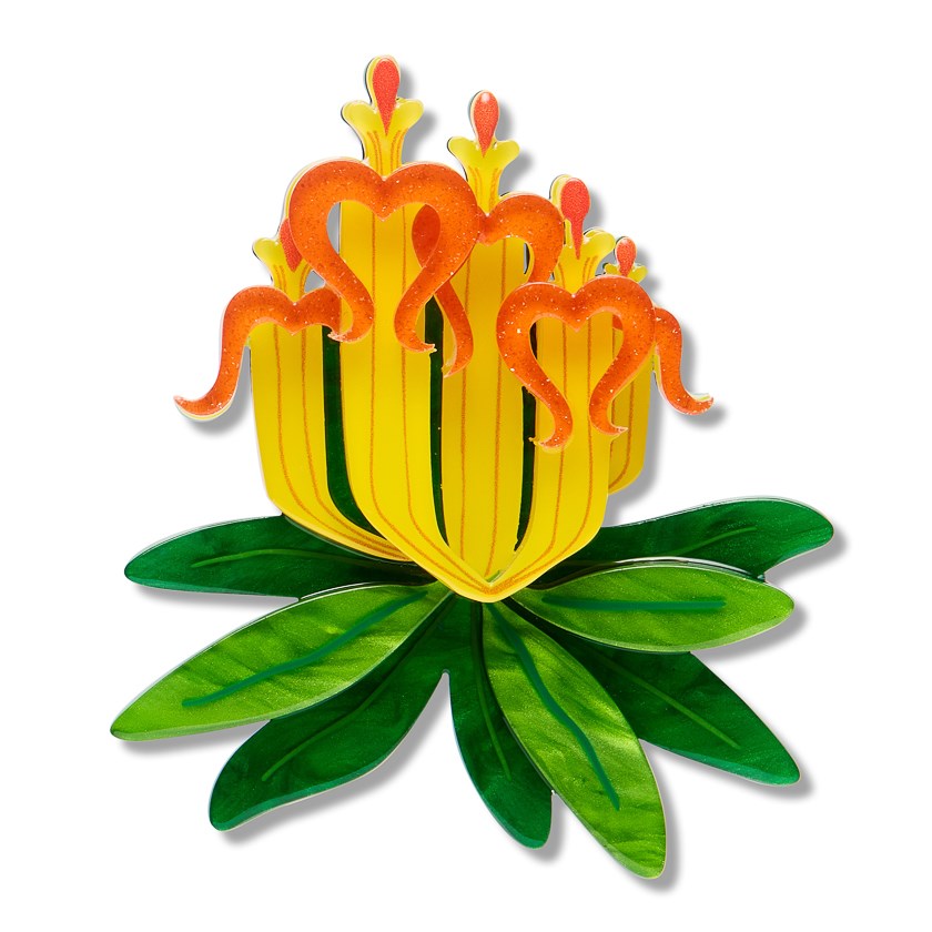 Brooch | Long-flower Mistletoe | Erstwilder
