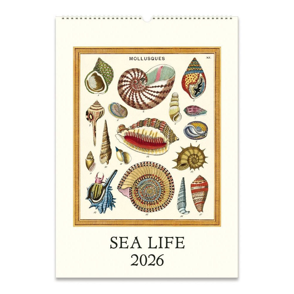 2026 Calendar | Sea life | wall