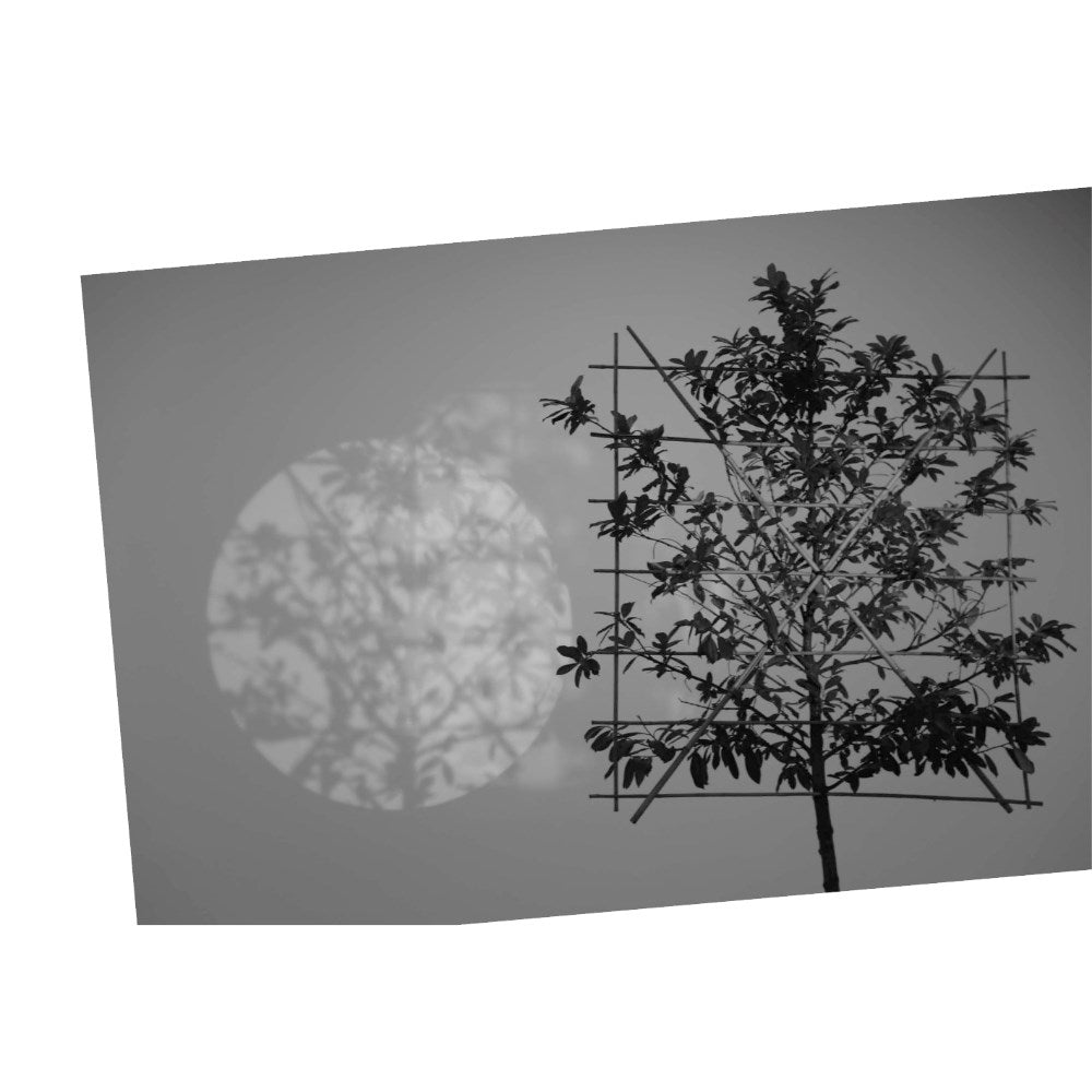 Cerith Wyn Evans .... in light of the visible | MCA