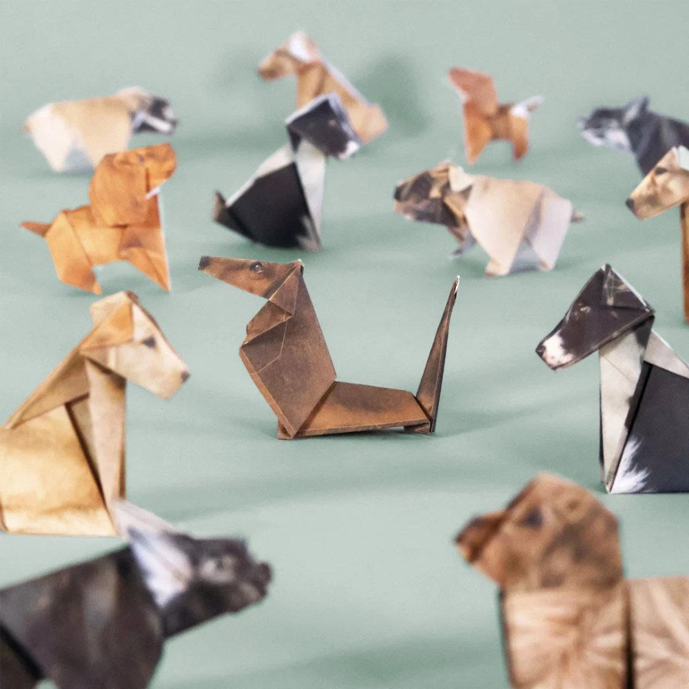 Activity Kit | Paper Pups Origami