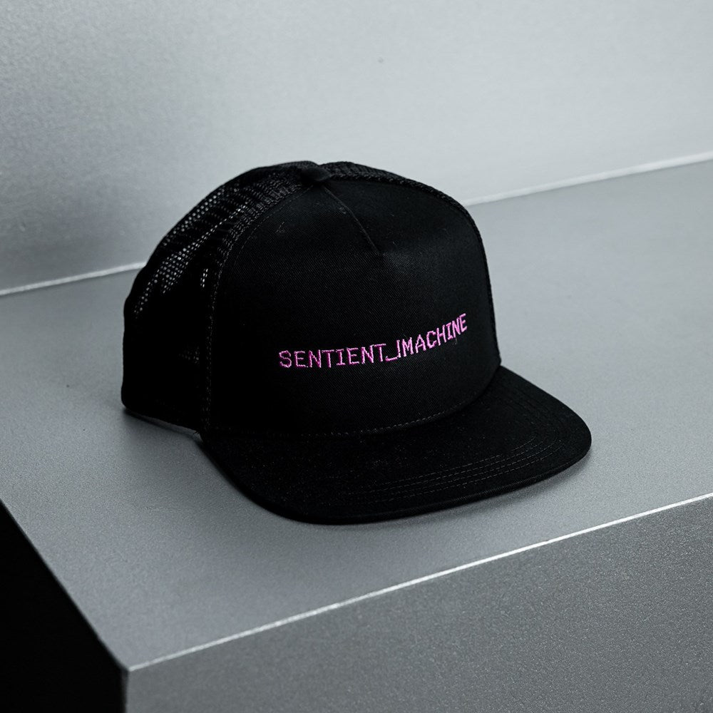 Cap | Sentinent_!machine | Data Dreams | MCA