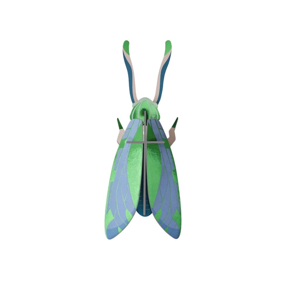 Wall Decoration | Medium | Beetles