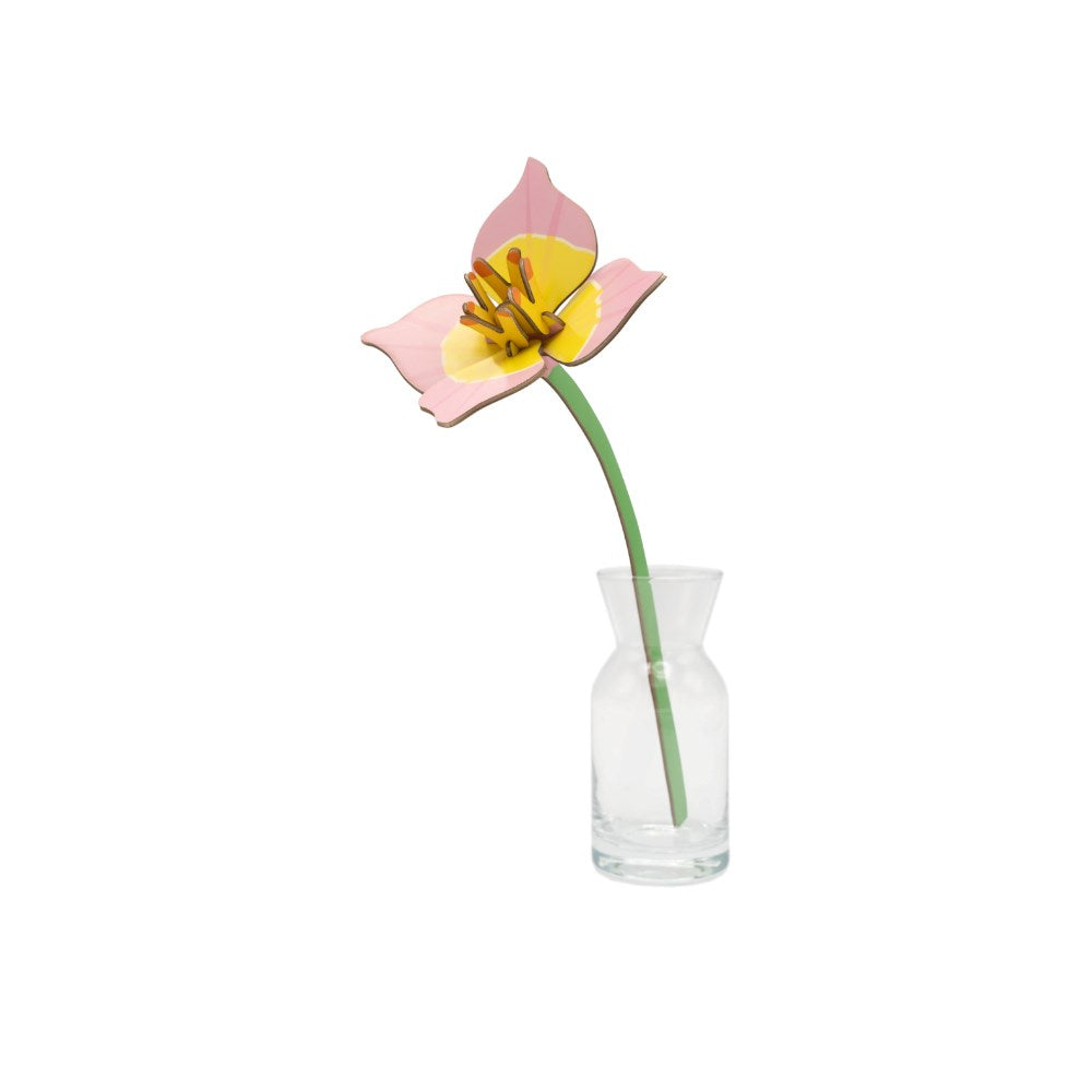 Decoration | Everlasting Flowers