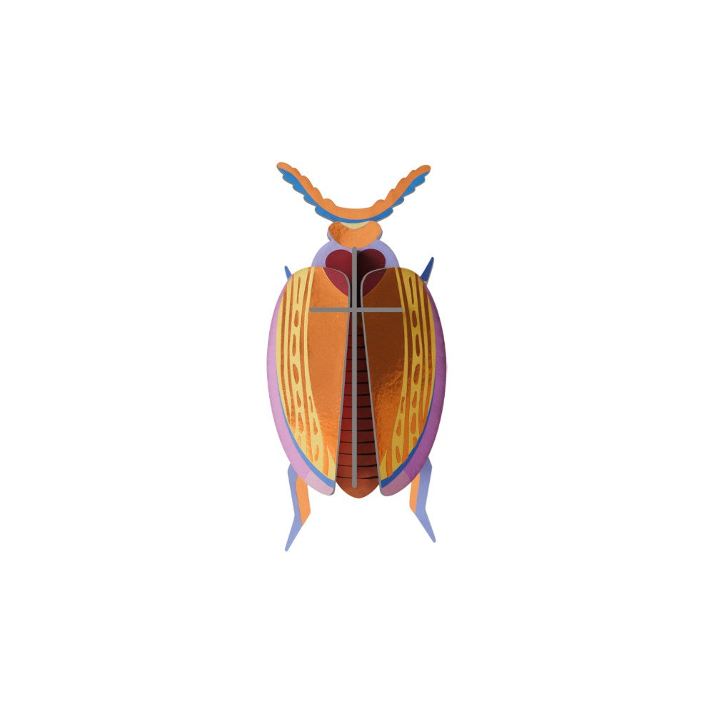 Wall Decoration | Medium | Beetles