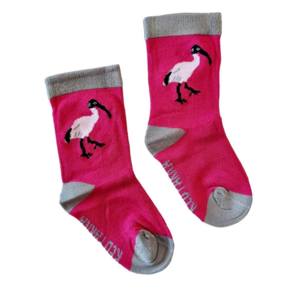 Socks | Ibis | Baby
