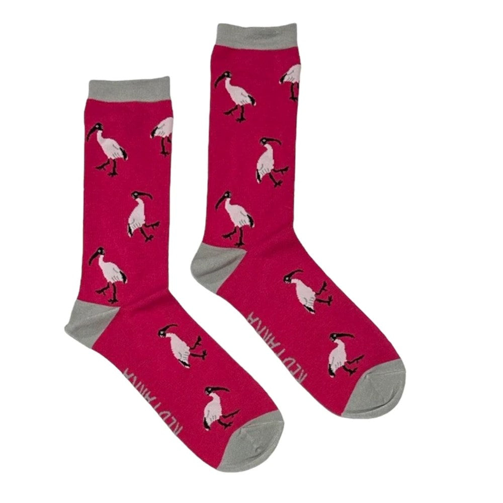 Socks | Ibis | Kids 3-6