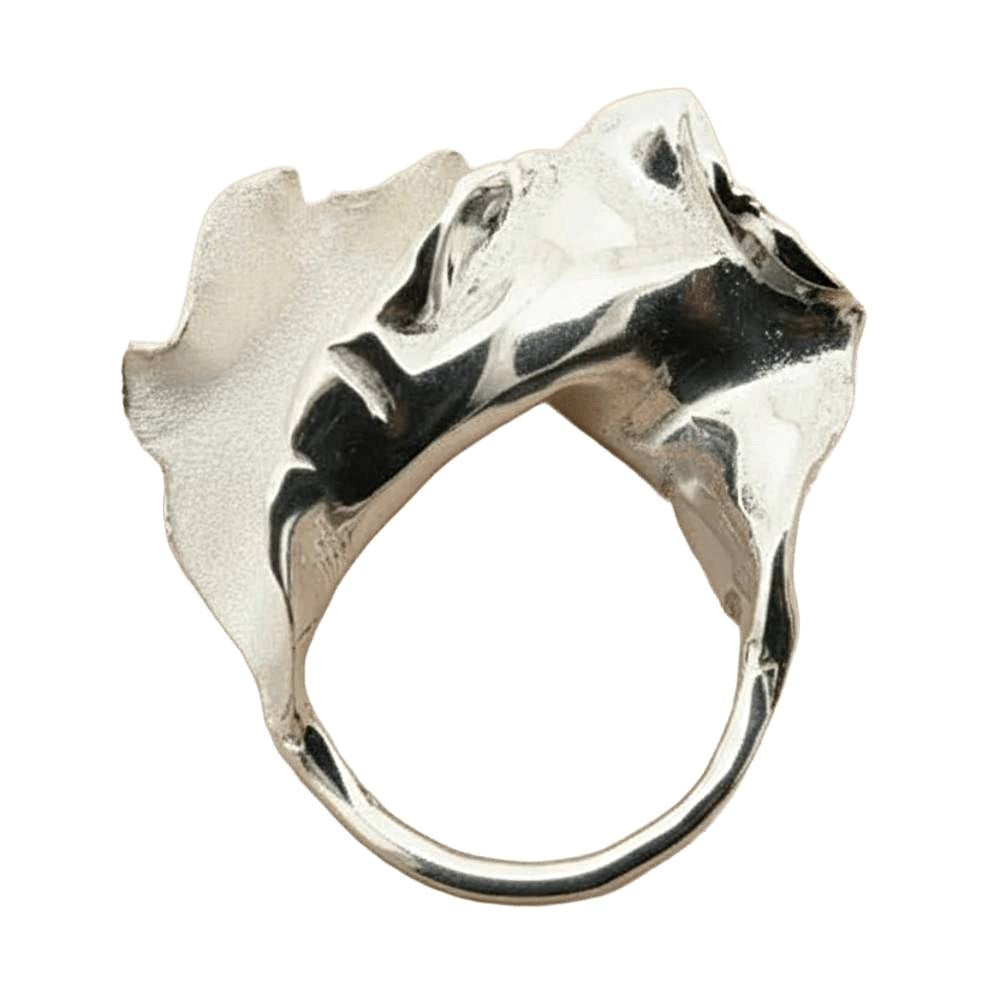 Ring | Torn signet | Silver