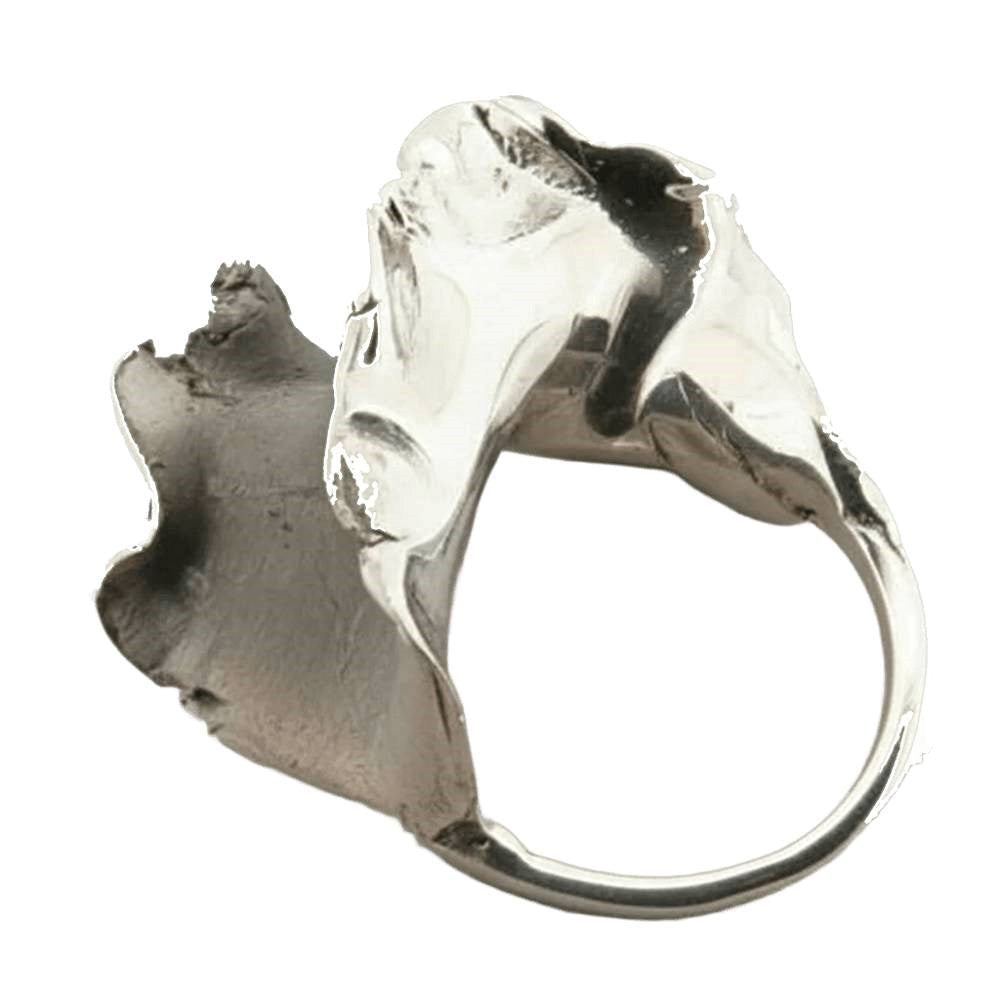 Ring | Torn signet | Oxidised