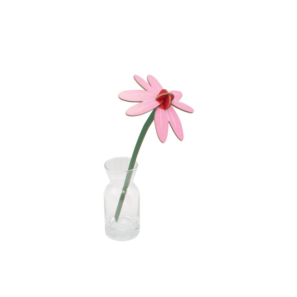 Decoration | Everlasting Flowers