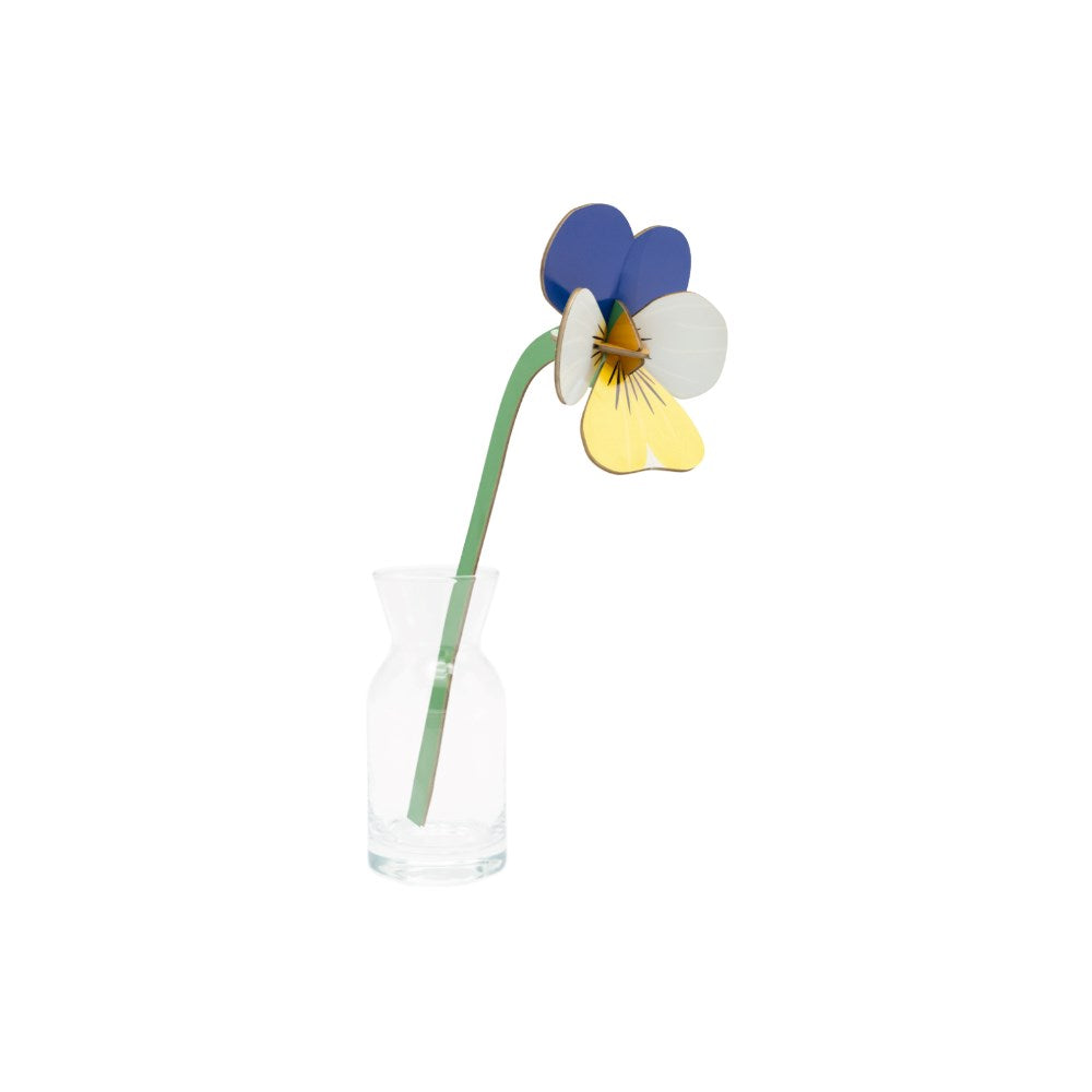 Decoration | Everlasting Flowers