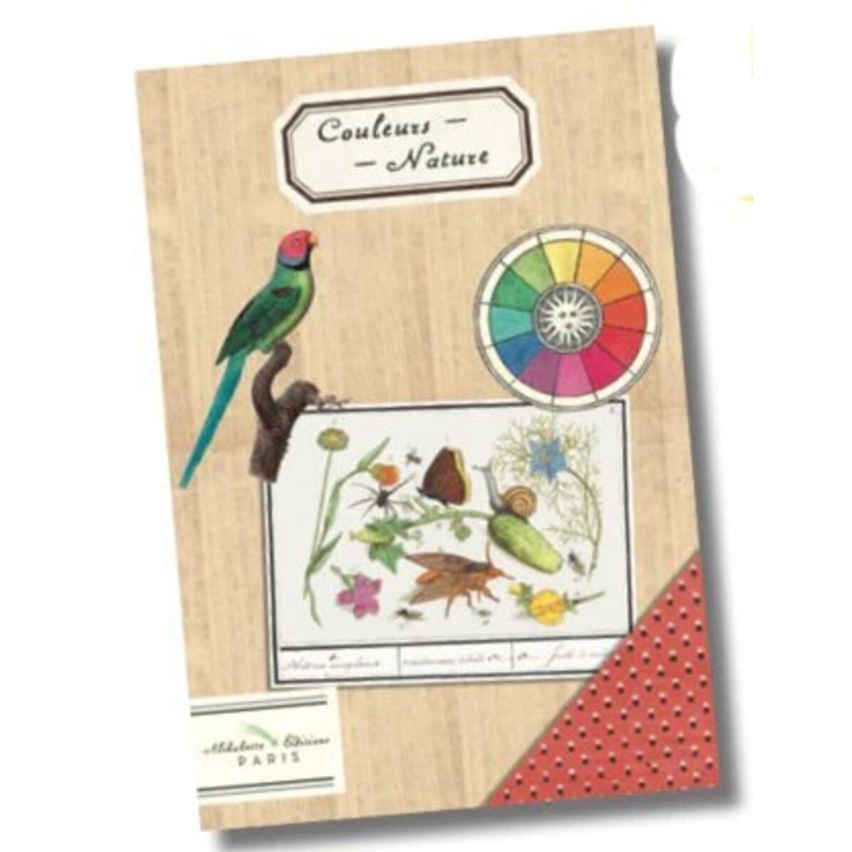 Illustrated Journal | Couleurs Nature
