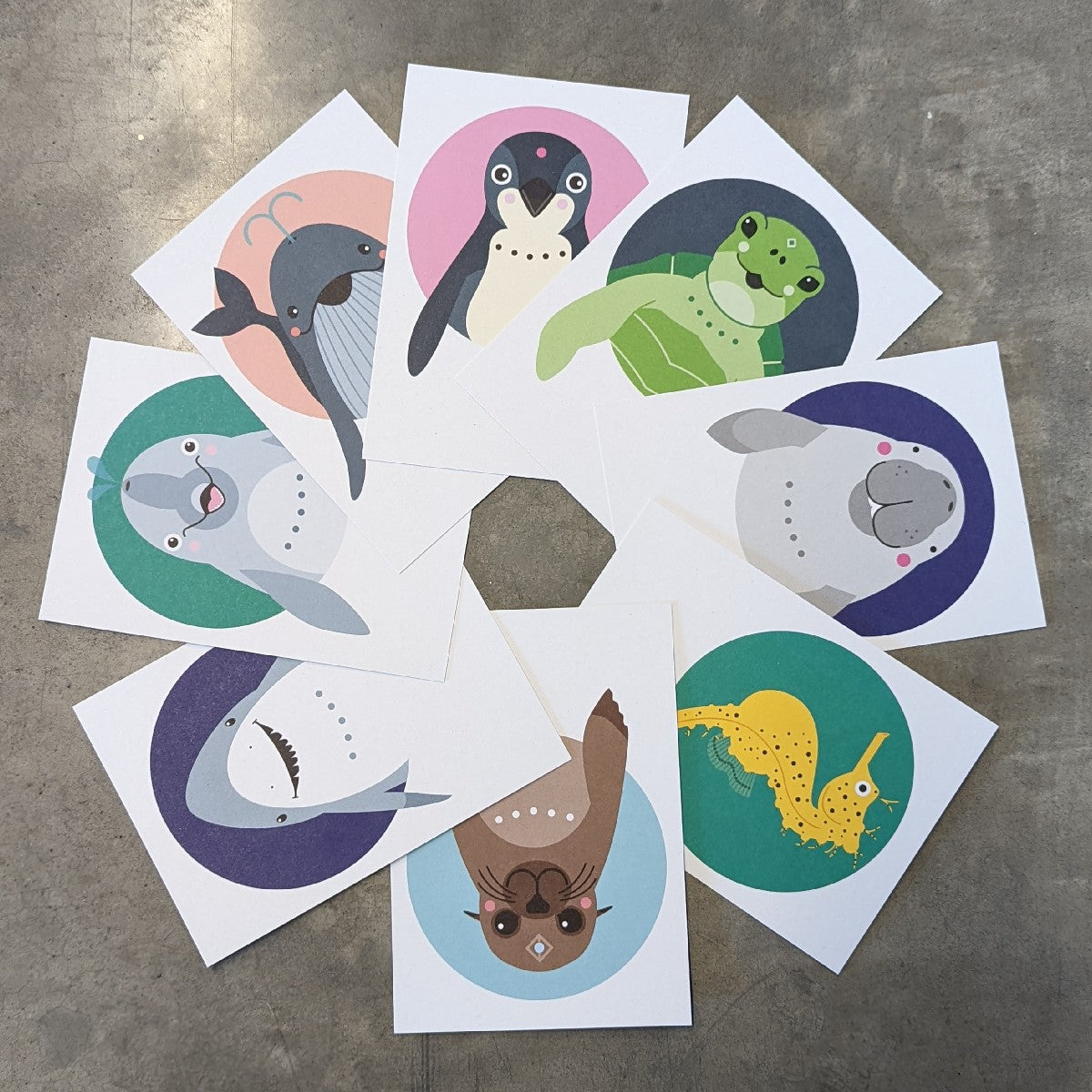 Postcard Pack | Australian Marine Animals | Totemica | Set of 8