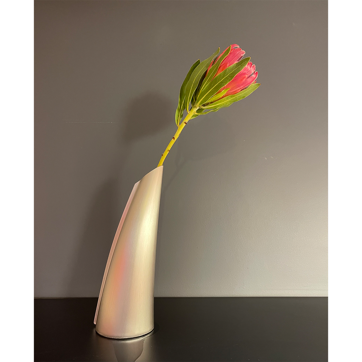 Single stem vase | FINK | small
