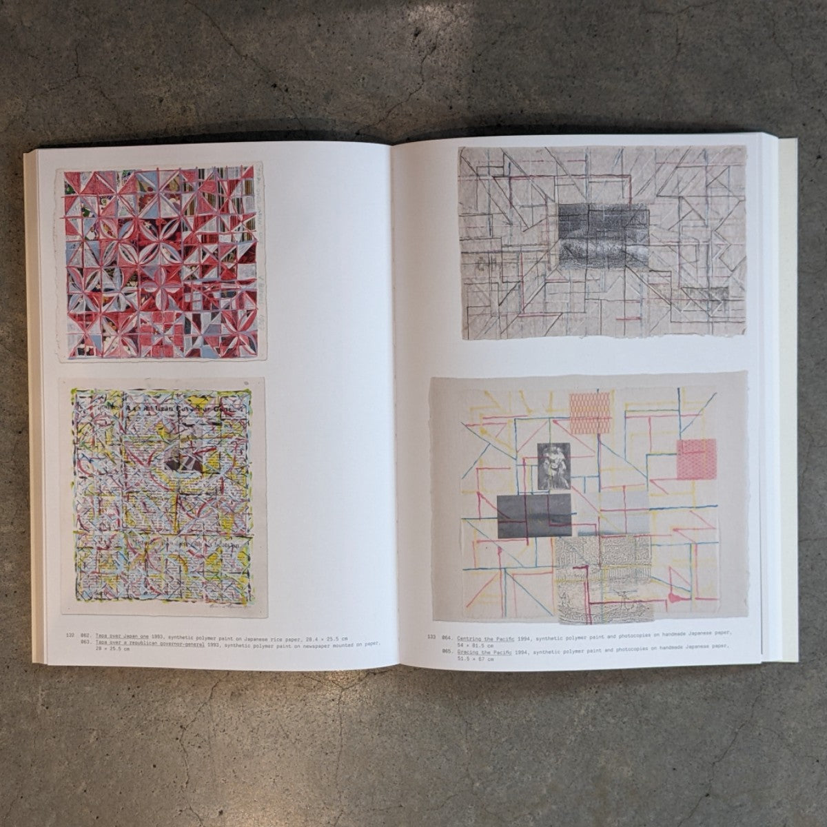 Vivienne Binns: On and through the Surface | Exhibition Catalogue