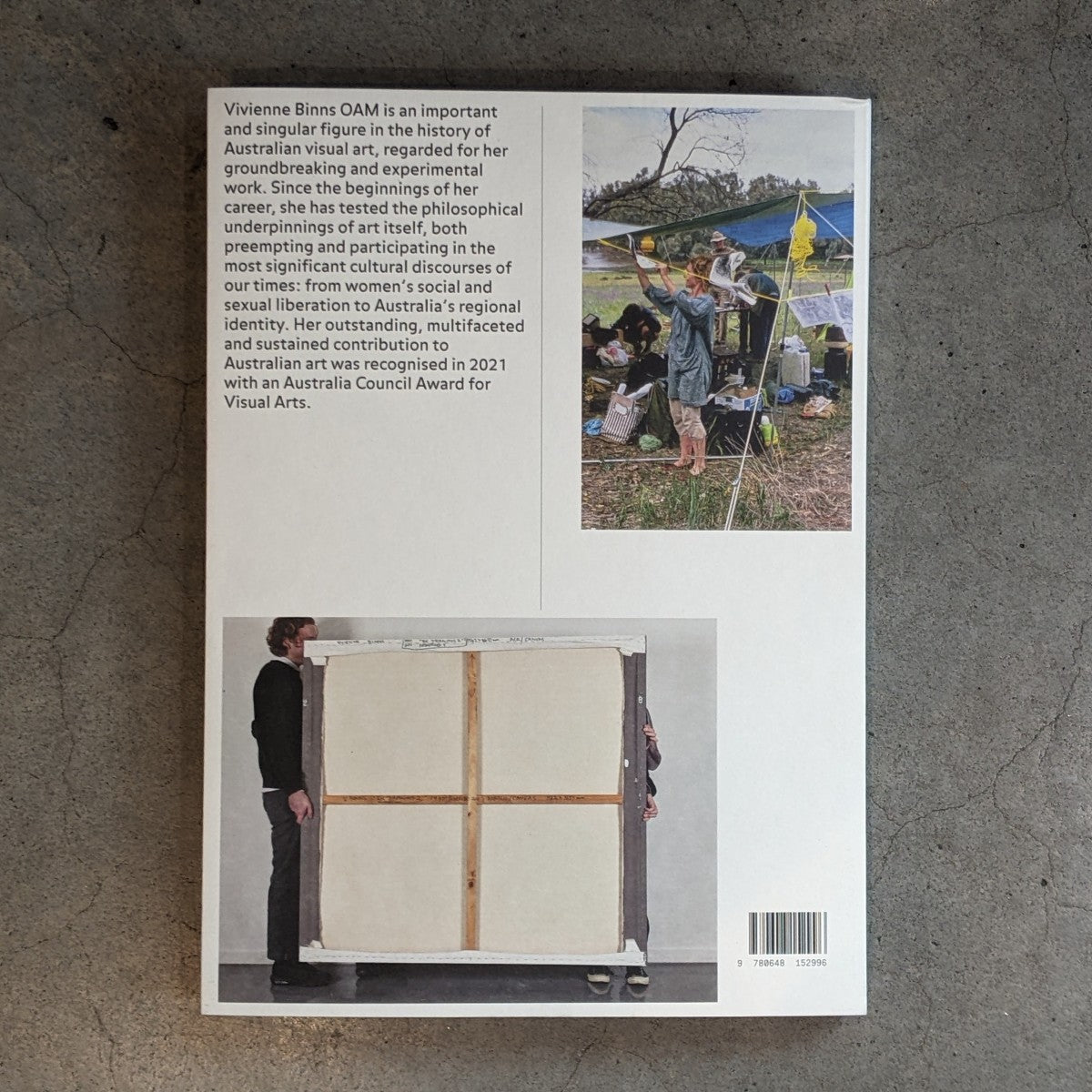 Vivienne Binns: On and through the Surface | Exhibition Catalogue