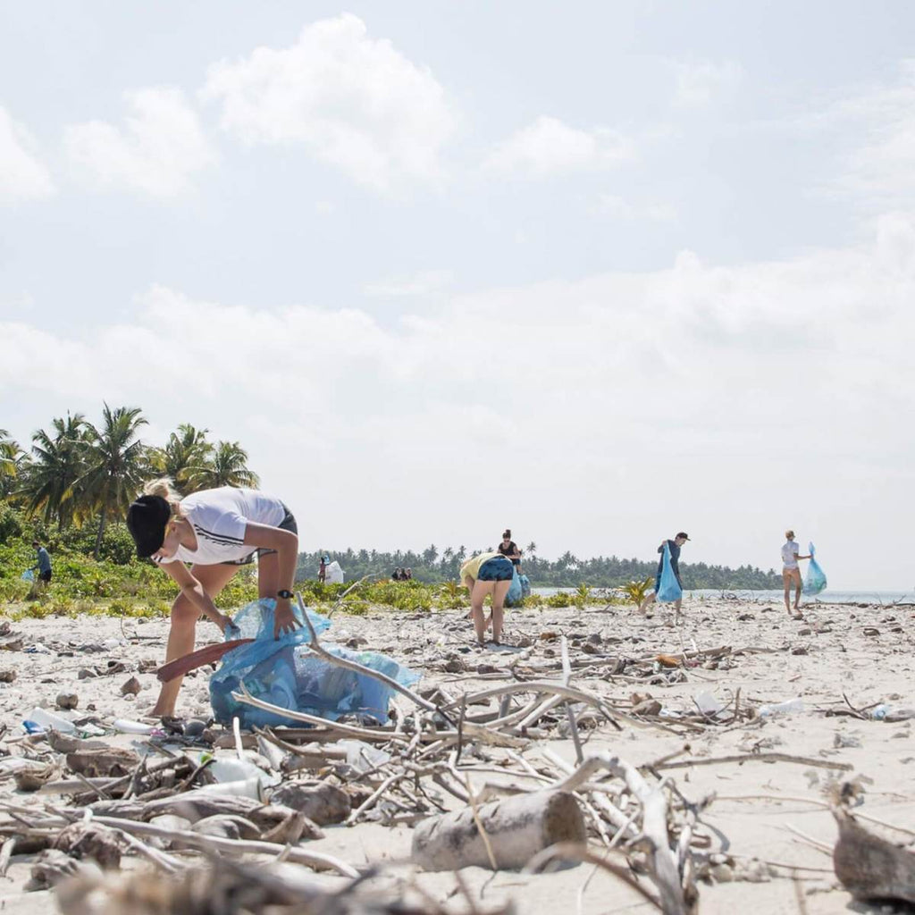 People with blue rubbish bags collecting rubbish and debris on a beach shore. 