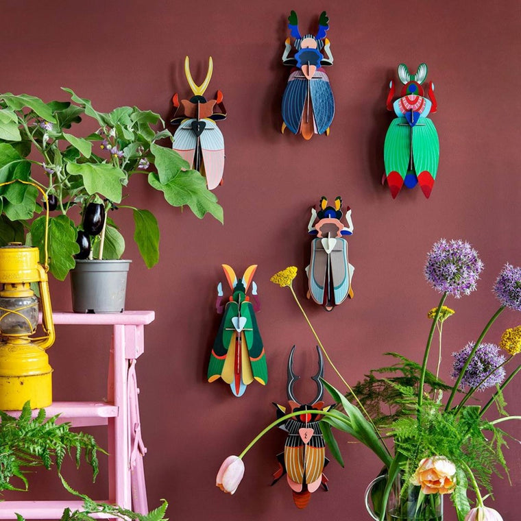 Wall Decoration | Large | Assorted Insects & Beetles