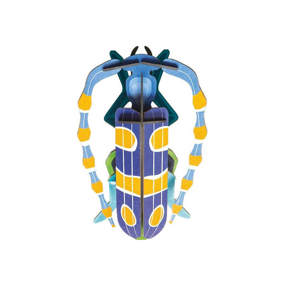 Wall Decoration | Small | Assorted Beetles