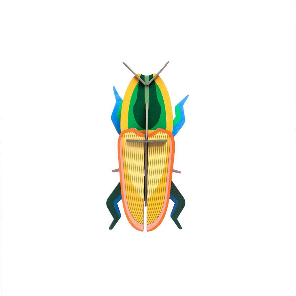 Wall Decoration | Small | Assorted Beetles