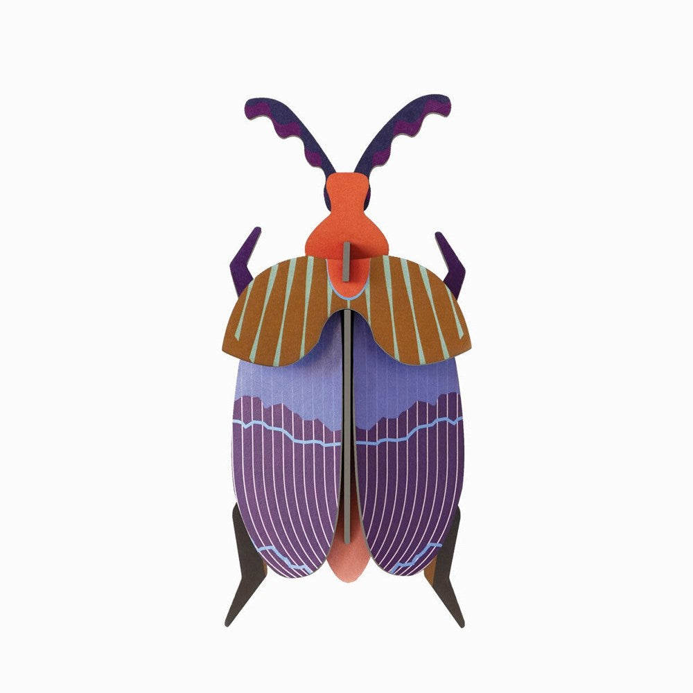 Wall Decoration | Small | Assorted Beetles