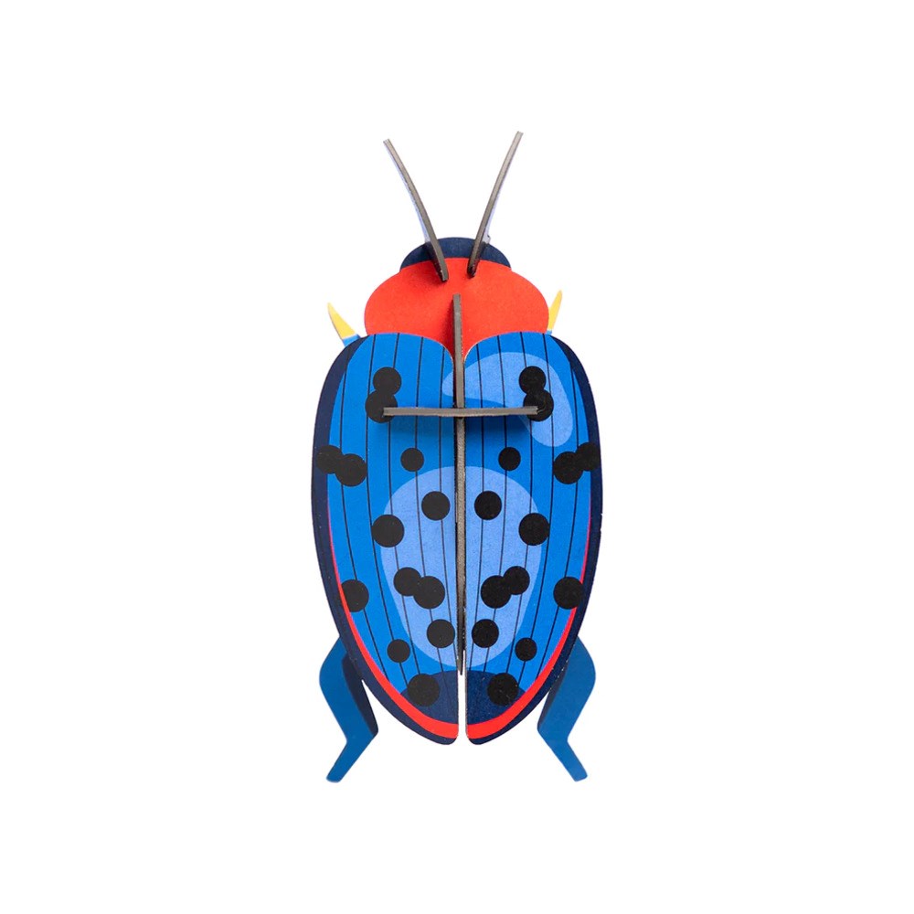 Wall Decoration | Small | Assorted Beetles