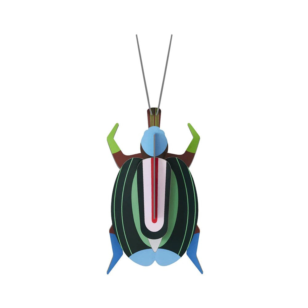 Wall Decoration | Small | Assorted Beetles