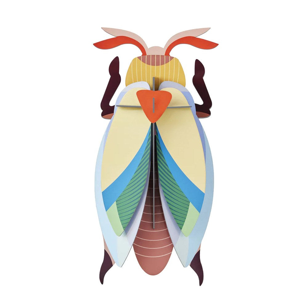 Wall Decoration | Large | Assorted Insects & Beetles