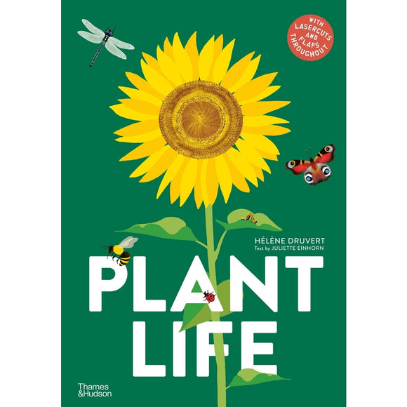 Plant Life | Author: Helene Druvert