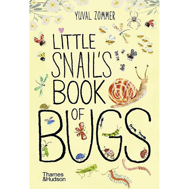 Little Snail's Book of Bugs | Author: Yuval Zommer