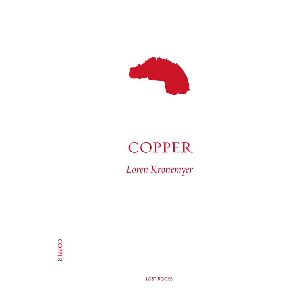 Lost Rocks: Copper | Author: Loren Kronemyer