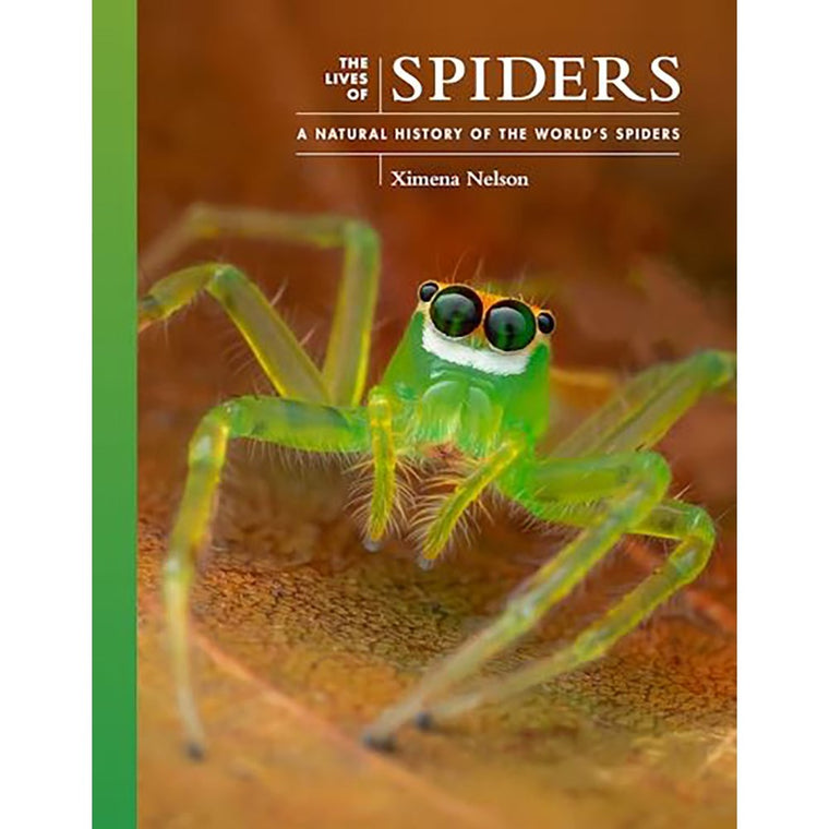 The Lives of Spiders | Author: Dr. Ximena Nelson