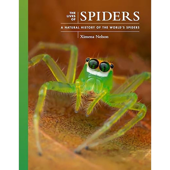 The Lives of Spiders | Author: Dr. Ximena Nelson