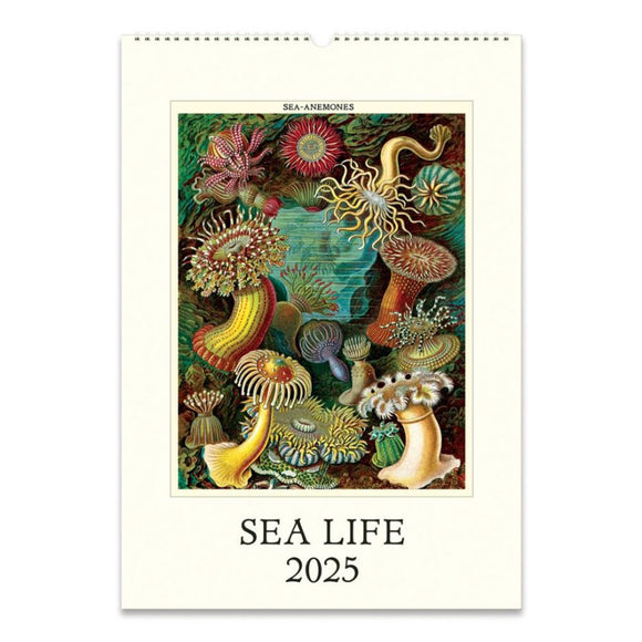 Calendar 2025 | Sea Life | Wall