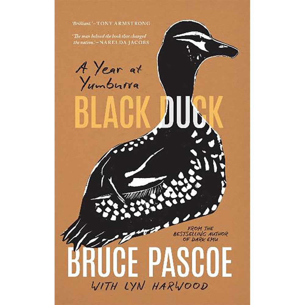 Black Duck | Author: Bruce Pascoe