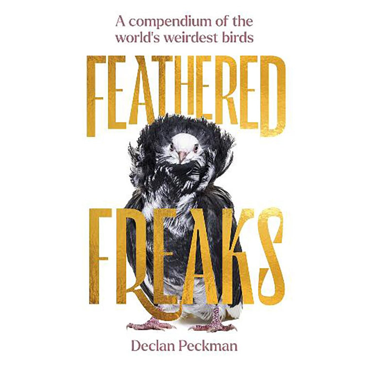 Feathered Freaks: A compendium of the world's weirdest birds | Author: Declan Peckman