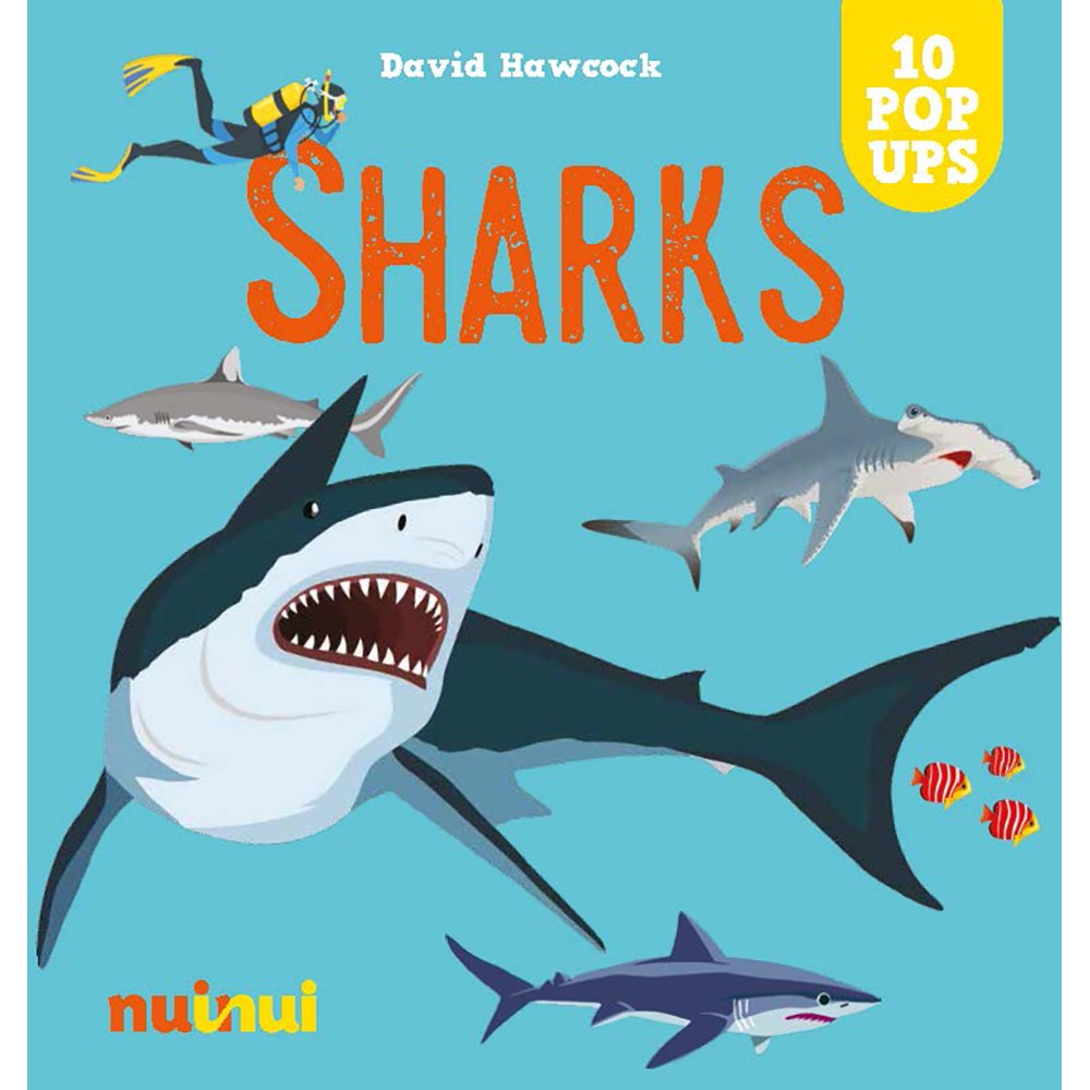 10 Pop Ups: Sharks | Author: David Hawcock