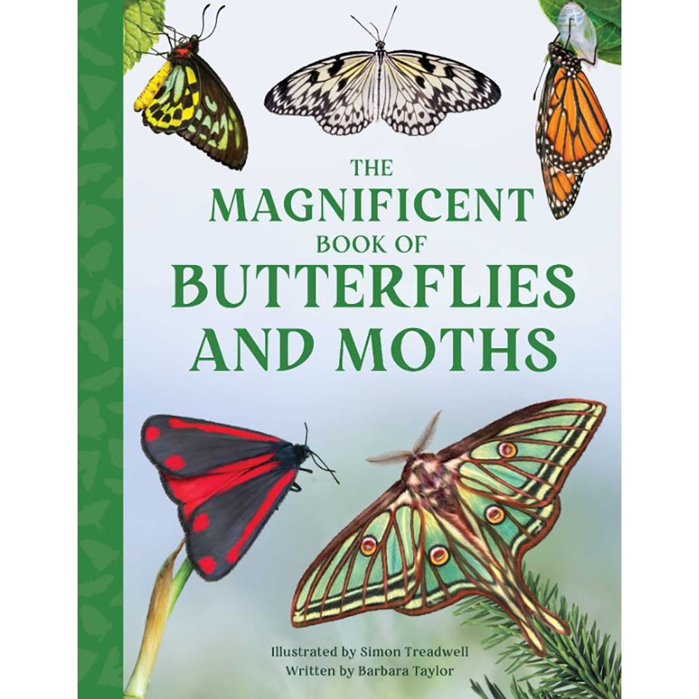 The Magnificent Book of Butterflies & Moths | Author: Barbara Taylor