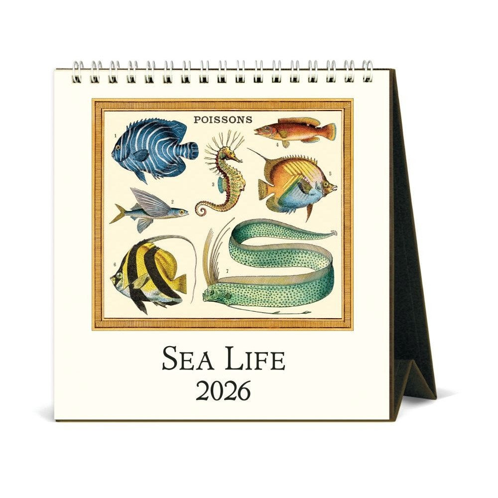 2026 Calendar | Sea life | desk