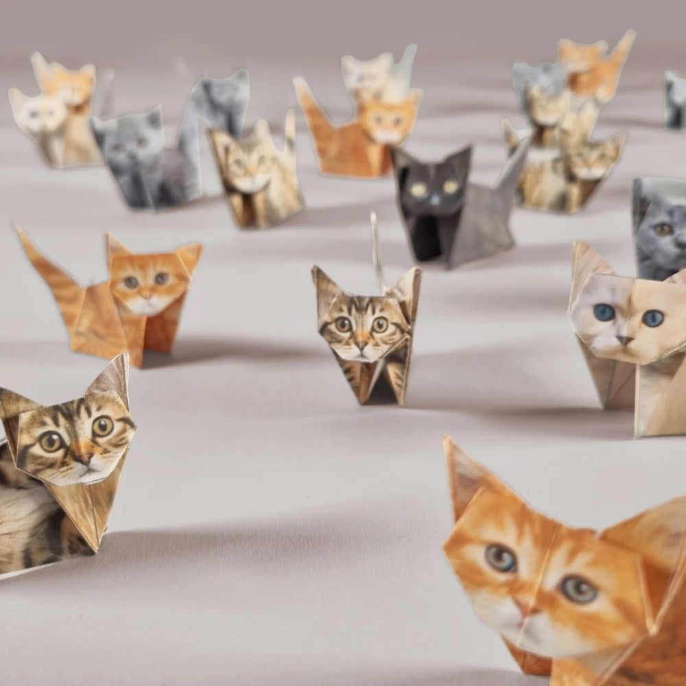 Activity Kit | Paper Cats Origami