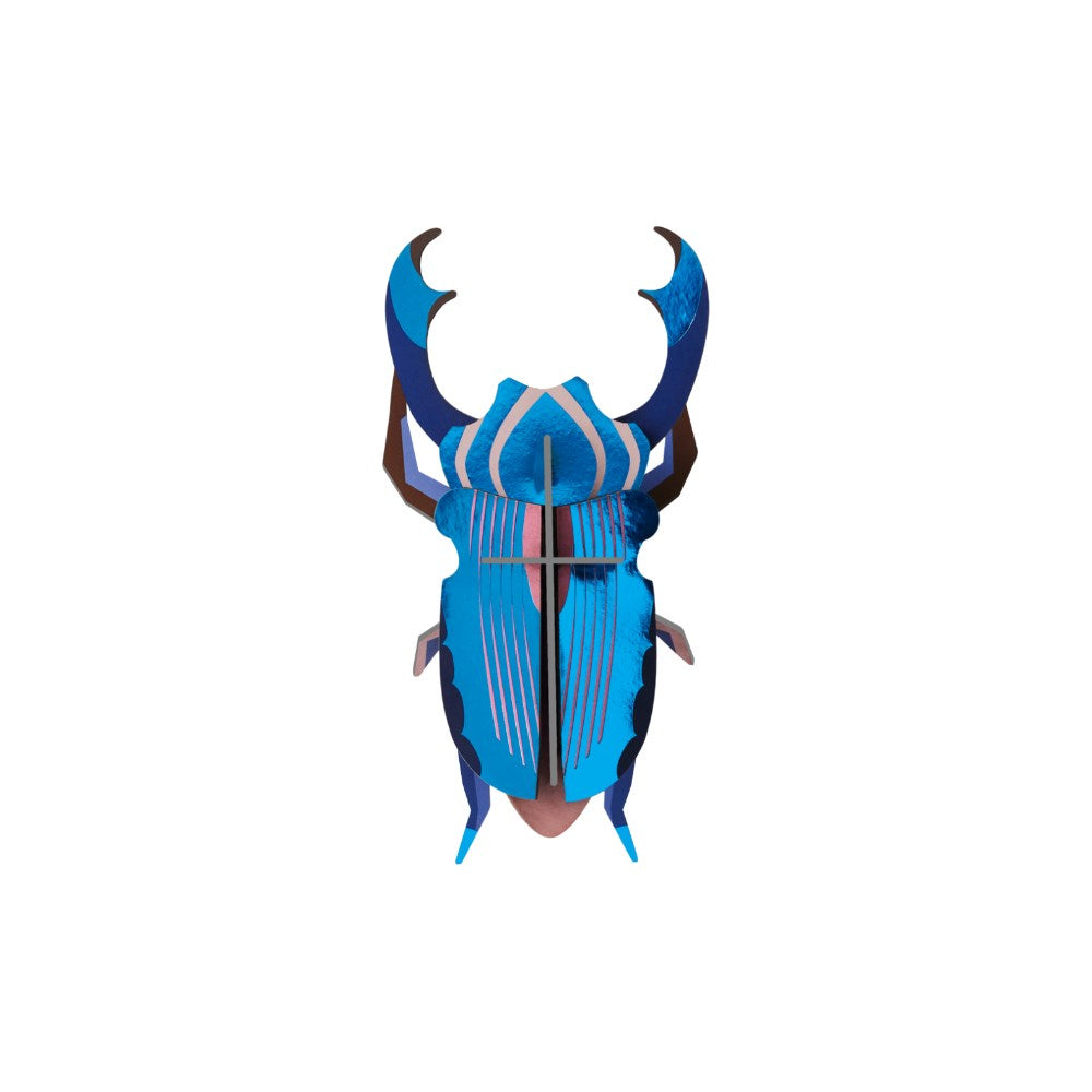 Wall Decoration | Medium | Beetles