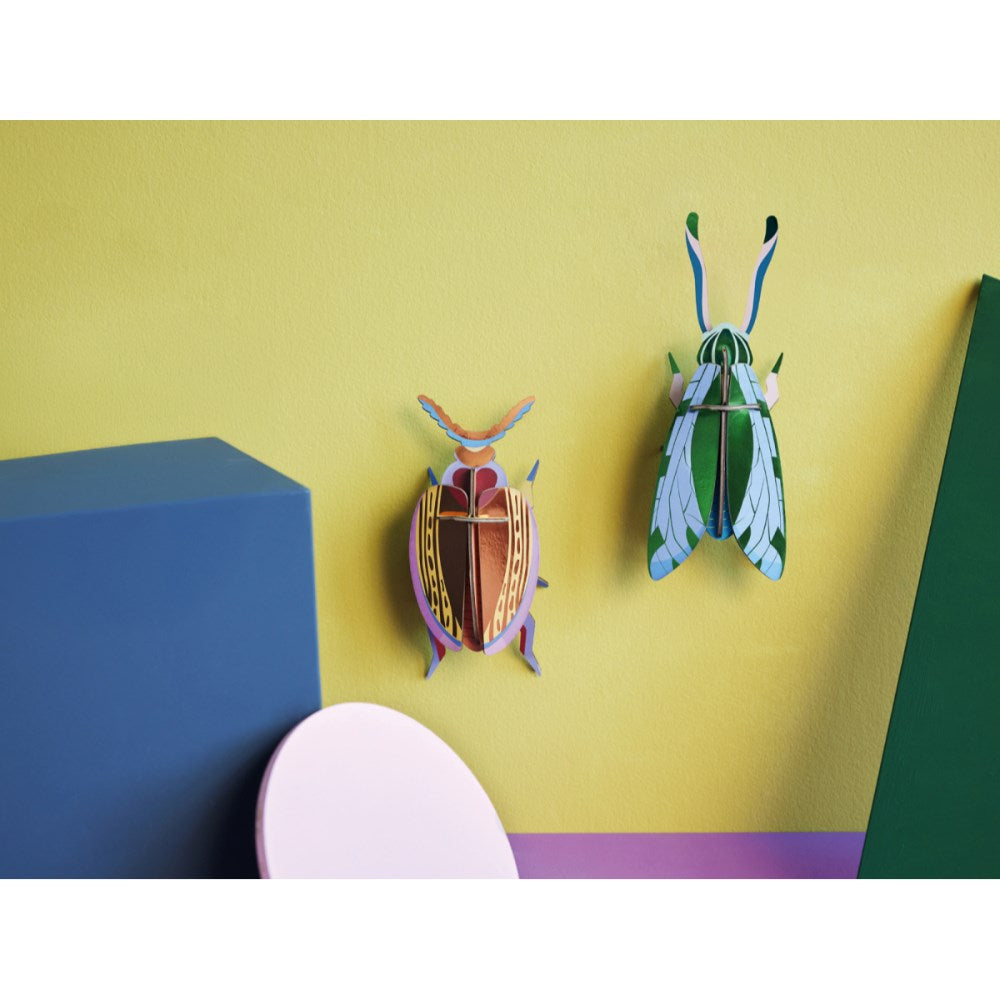 Wall Decoration | Medium | Beetles
