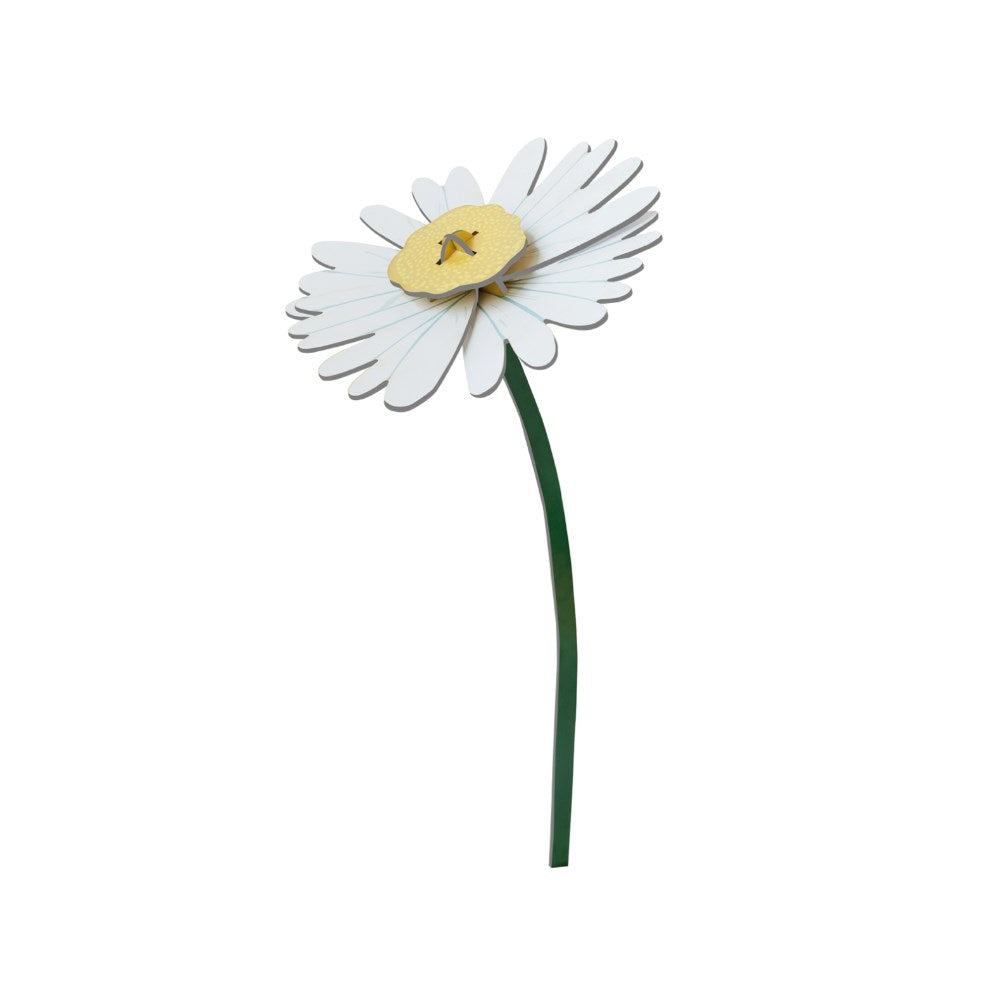 Decoration | Everlasting Flowers